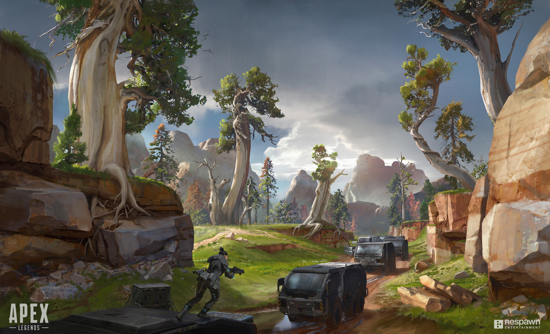 同时注重青 同时注重青